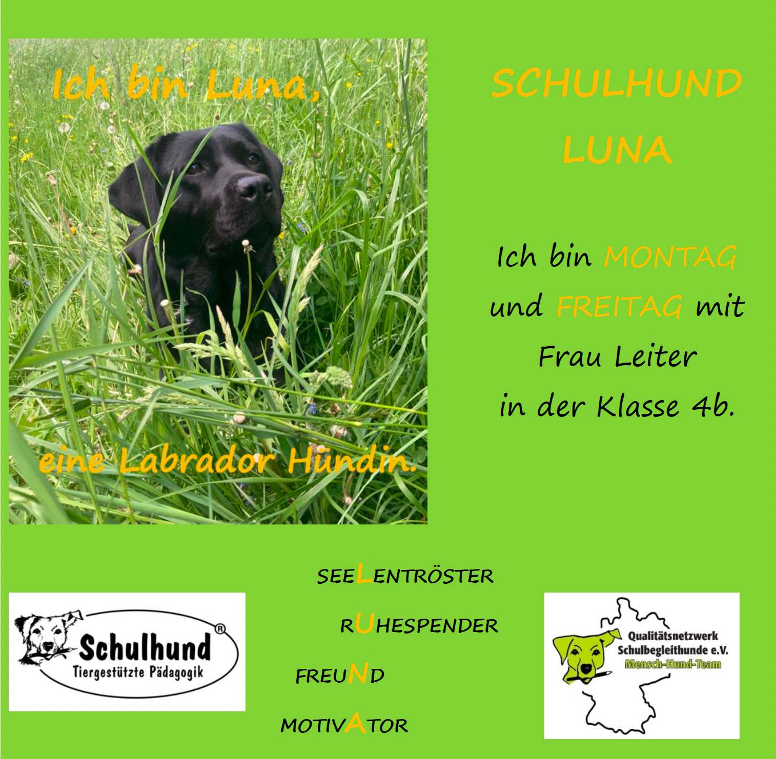 Schulhund Luna